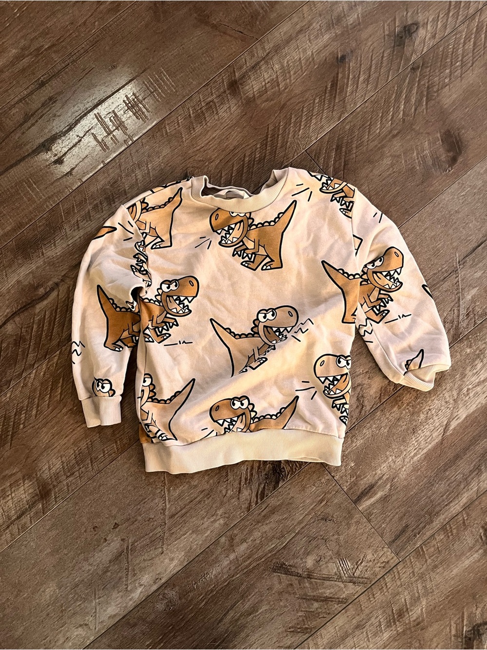Dino sweater